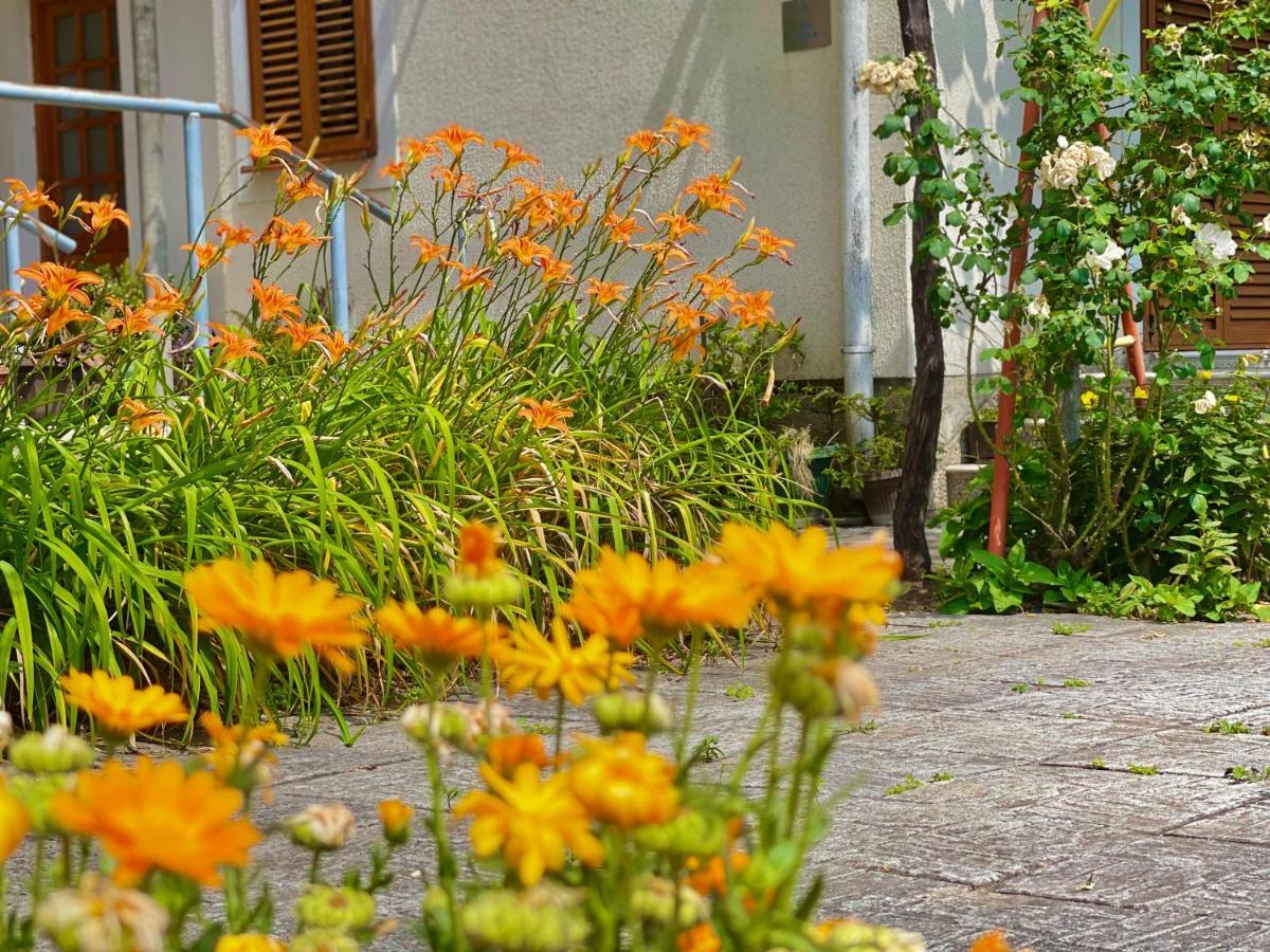 Garden House Budva Exterior foto